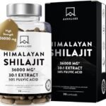 Aavalabs Himalayan Shilajit-1