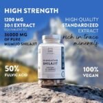 Aavalabs Himalayan Shilajit-2